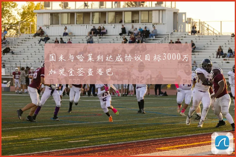 国米与哈莱利达成协议目标3000万加奖金签查洛巴